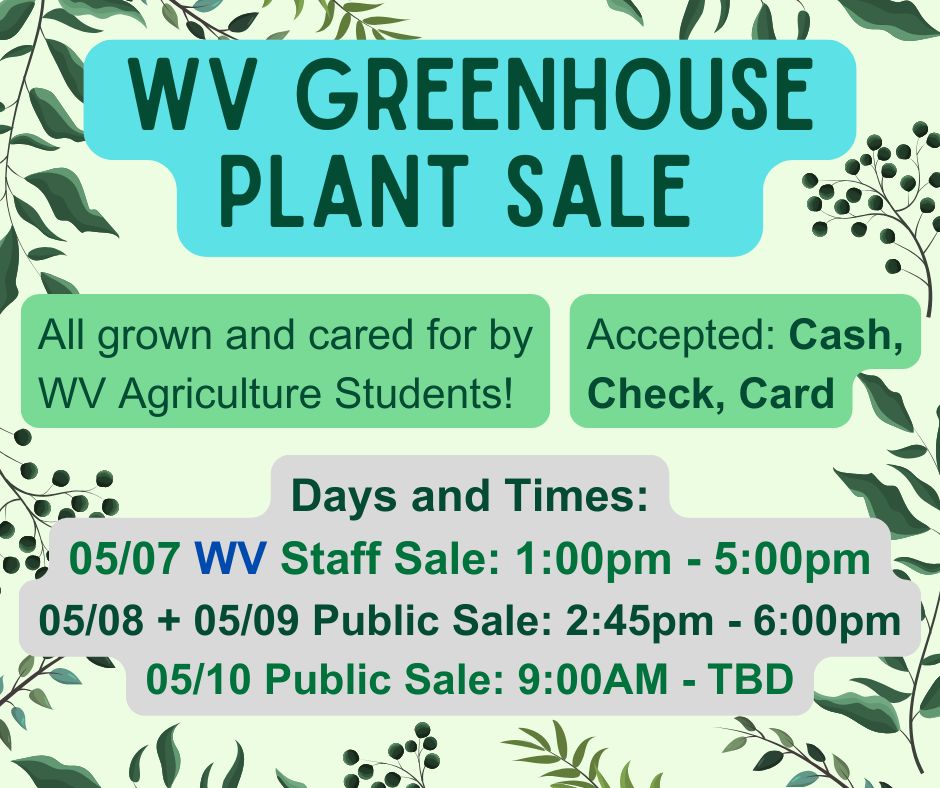 Greenhouse Sale!