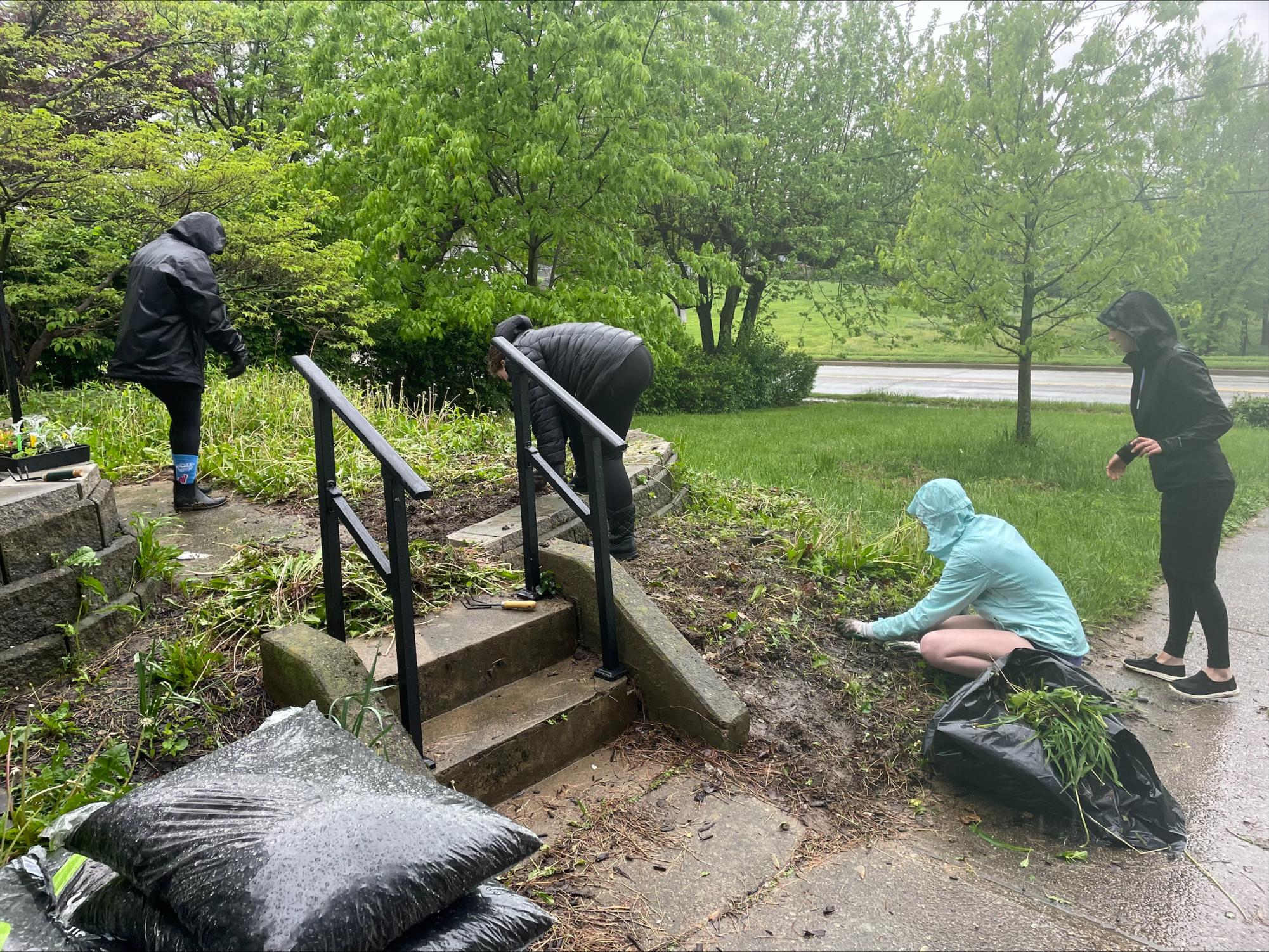 Pulling weeds and planting kindness!
