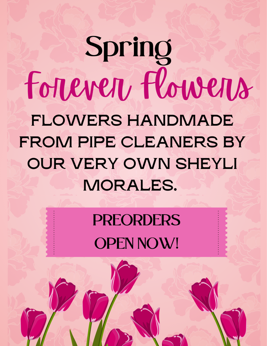 Spring Flowers